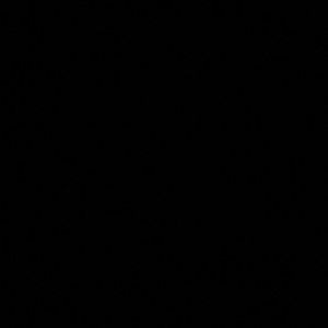 Meet your Posher, Daisy